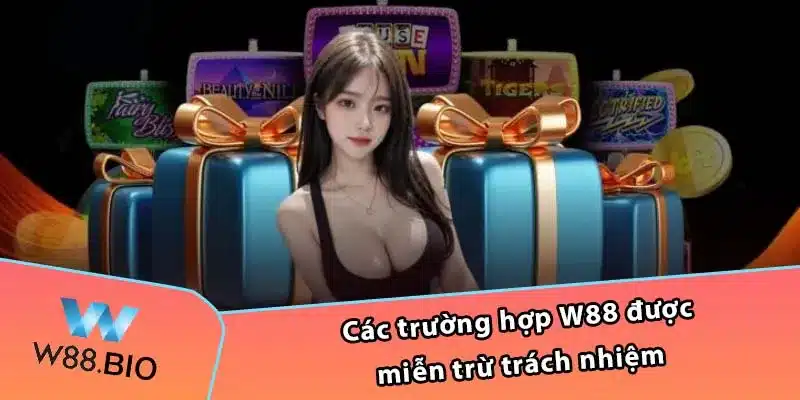 Các trường hợp W88 được miễn trừ trách nhiệm