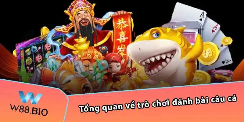 Tổng quan về trò chơi đánh bài câu cá